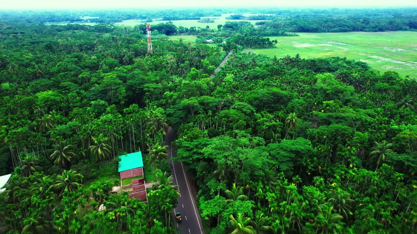 Aerial view of green, tree-covered land with a road running through it